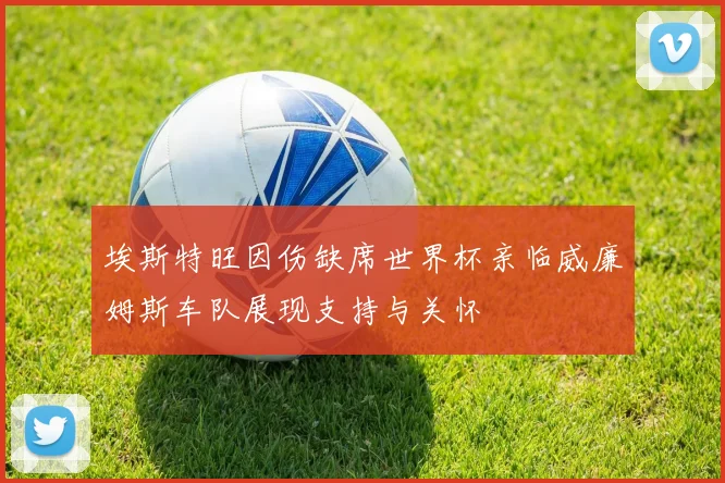 埃斯特旺因伤缺席世界杯亲临威廉姆斯车队展现支持与关怀